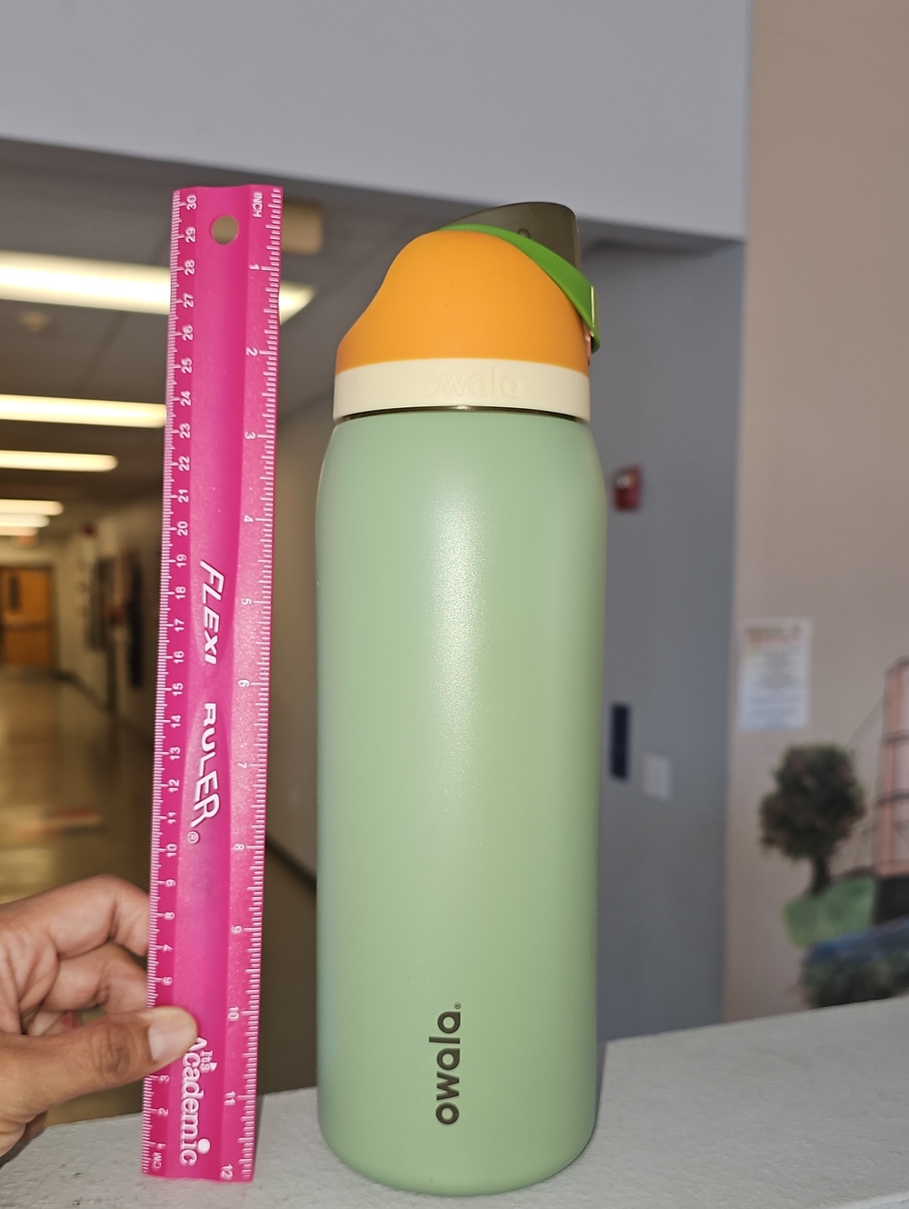 Sage Green & Orange Insulated Water Bottle